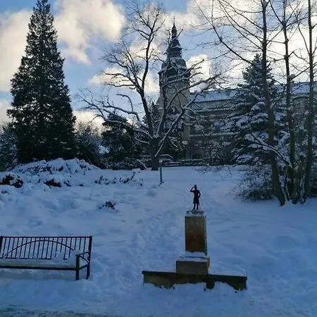 Obszerne Mieszkanie W Centrum Uzdrowiska Z Garazem Świeradów-Zdrój
