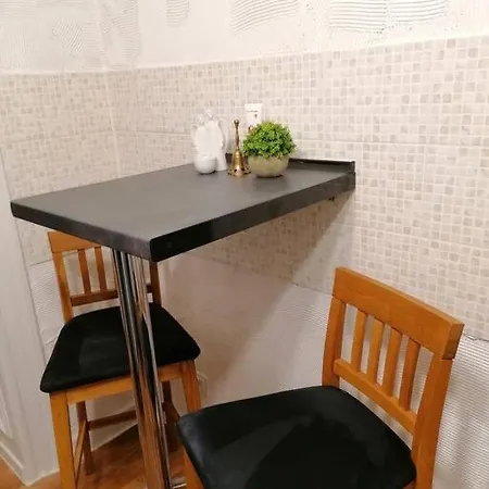 Obszerne Mieszkanie W Centrum Uzdrowiska Z Garazem Apartment