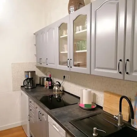 Obszerne Mieszkanie W Centrum Uzdrowiska Z Garazem Apartament *