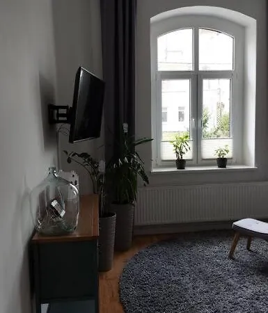 Obszerne Mieszkanie W Centrum Uzdrowiska Z Garazem Apartament *